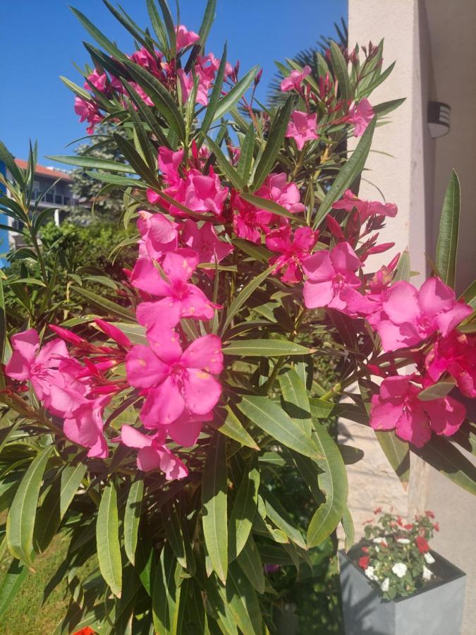 Near The Beach بولا المظهر الخارجي الصورة
